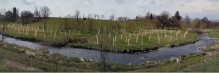 BMP Case Studies - Tree Planting and Riparian Buffers